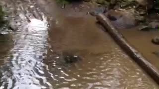 Man on yellow dirt bike falls in muddy water