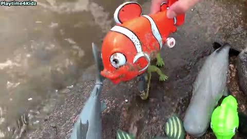 Sea Animal Toys This Summer at the Shore(480P)