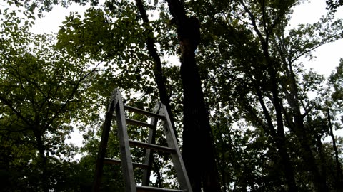 Roofing the Treehouse