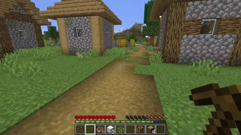 Basic bitch minecraft stream