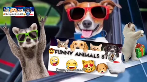 Hilarious Cat and Dog Shenanigans 🐱🐶 - The Ultimate Funny Animal Compilation of 2023!