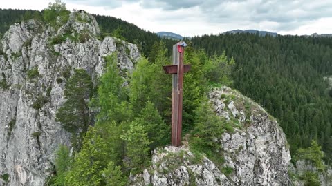 forest, mountains, wooden cross
