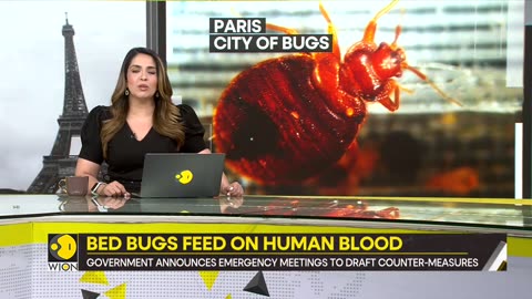 France_calls_for_emergency_meetings_due_to_alarming_bed_bug_crisis