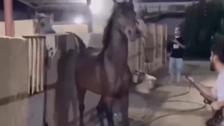 Unstable Horse