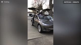 Um Tesla equipado com luzes de natal