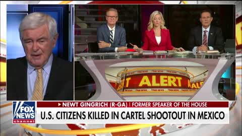 Newt Gingrich reacts after at least nine American citizens are killed by a Mexican drug cartel