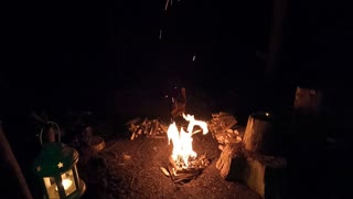 Campfire at a woodland wildcamp