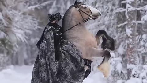 Beautiful girl with horse