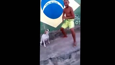 Dog - Brazilian dog dancing kkkkk - Animallifecomedy