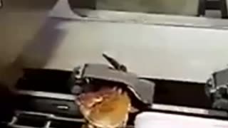 Processed crabs