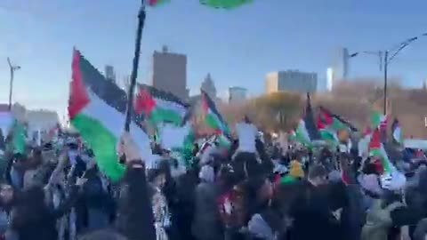 CHICAGO COALITION FOR JUSTICE IN PALESTINE SHUT DOWN LAKE SHORE DRIVE