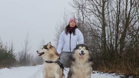 Woman Standing Behind Dogs