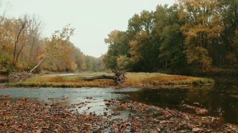 Music relaxed with lovely video of nature