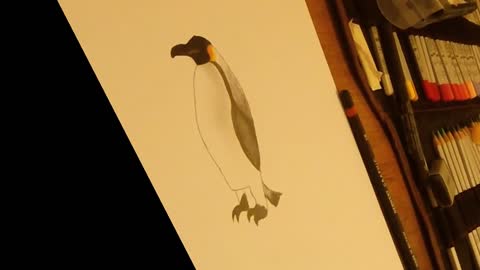 Simple Emperor Penguin Drawing Tutorial