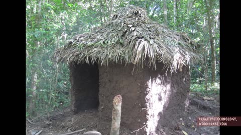 Primitive Technology Palm Thatched Mud Hut