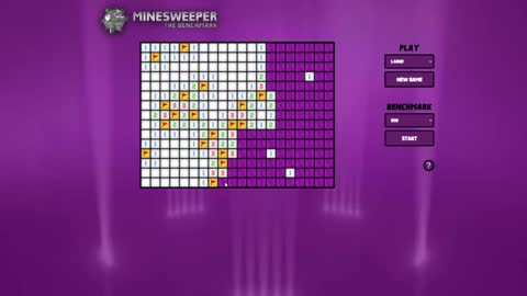 Game No. 21 - Minesweeper 20x15