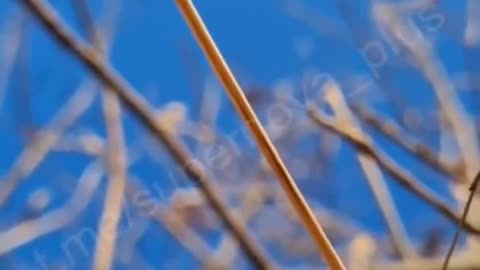 Russian Soldier Records Very Intense Wave Of Strikes By Ukrainian FPV Drones Against His Trench