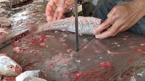 Mrigal Fish Fast Cutting By Machine In Fish Market l Amazing Fish Cutting Skills