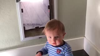 Toddler and the Magic Doggie Door