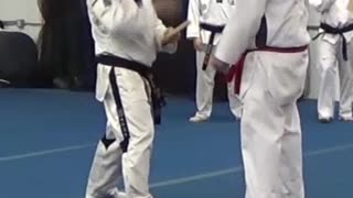 Taekwondo Punch Speed Break