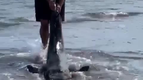 Beach fishing Man