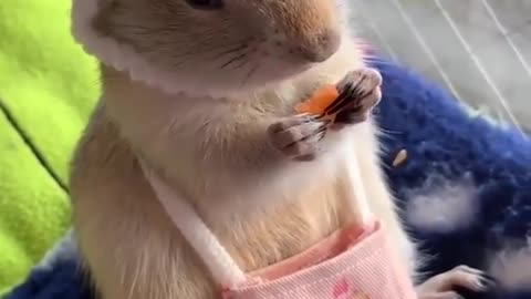 Cute Critter in a Knit Cap Crunching on Carrots