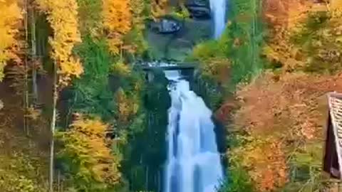 Beautiful Natural Video Clips