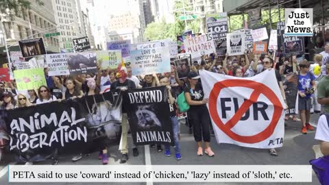 Not 'chicken,' but 'coward': Cruz shreds PETA for demanding an end to using animals as insults