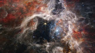 Webb Telescope snaps a shot of space 'Tarantula'