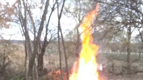 A bonfire was burning