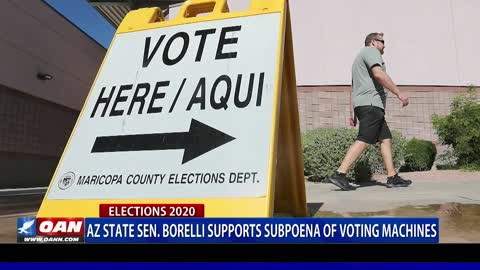 Ariz. state Sen. Borelli supports subpoena of voting machines