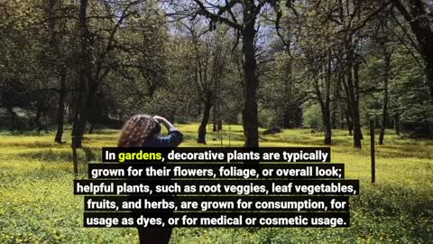 See This Report about Gardening Know How