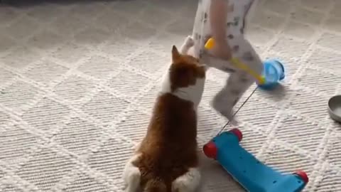 a baby and a cate playing toghether