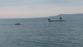 When our ship was in the middle of the ocean, a monster appeared from behind