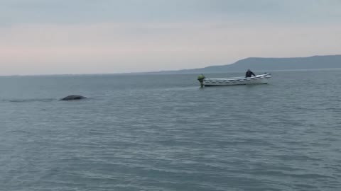 When our ship was in the middle of the ocean, a monster appeared from behind