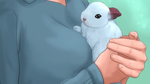 How to care for a rabbit puppy?