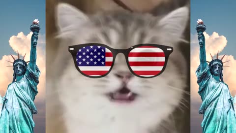 United state of America National Anthem By cats