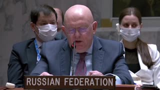 Russian UN Rep Accuses US of Testing Coronavirus in Bats in Ukraine at Security Council
