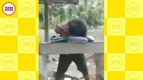 Video Lucu Bikin Ngakak