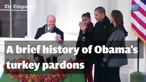 The best moments from all of Barack Obama's Thanksgiving turkey pardons