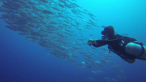 Woman Scuba Dive in Deep the Sea