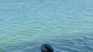 Wake board guy pulled into water fail