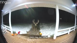 Father and Daughters Sweet Conversation with Reindeer