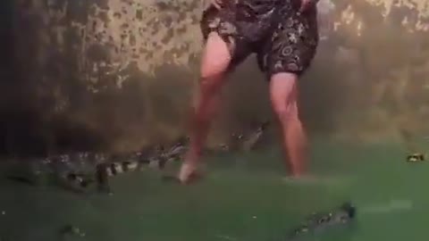 🙀OMG he is jumping in 🐊