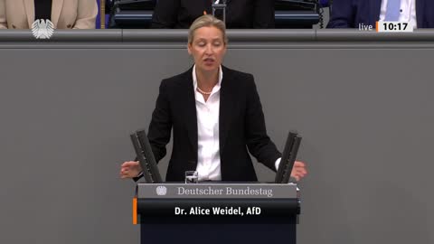 Dr. Alice Weidel Rede vom 01.06.2022 - Bundeskanzler und Bundeskanzleramt, Unabhängiger Kontrollrat
