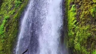 Waterfall In The Woodlands