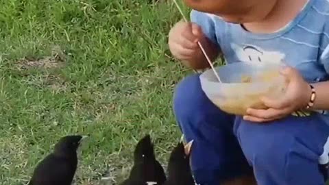 Animals vs child hungry video