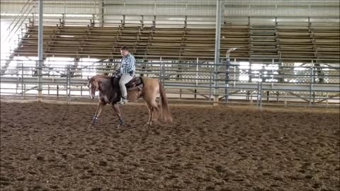 Begining of Teaching Reining Spin