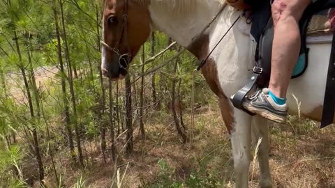 Perfect Butt Slide!!!! 🐎🤠