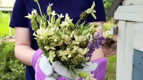 VIDEO: With Michelle in Homegrown Home, learn how to harvest peas & make beautiful lavendar sachets